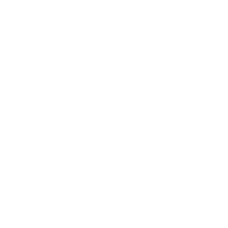 helmet (1)