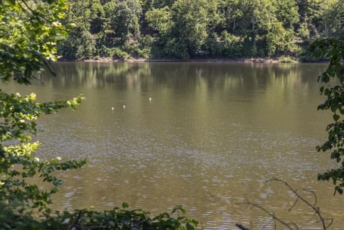 1764 River Rd, Upper Black Eddy-54